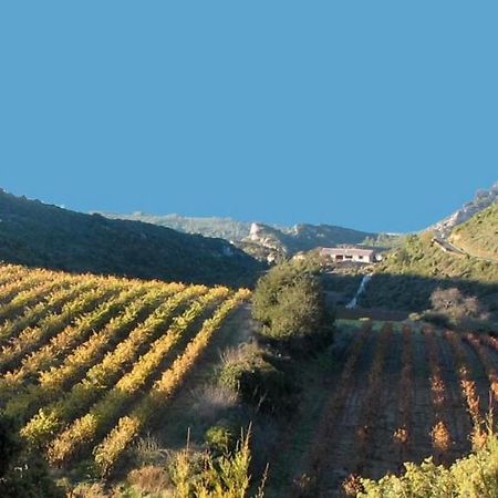 Gite Dans Ancienne Bergerie En Pleine Garrigue Fraissé-des-Corbières المظهر الخارجي الصورة