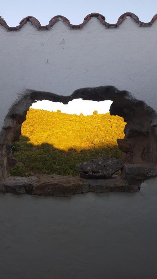 Gite Dans Ancienne Bergerie En Pleine Garrigue Fraissé-des-Corbières المظهر الخارجي الصورة