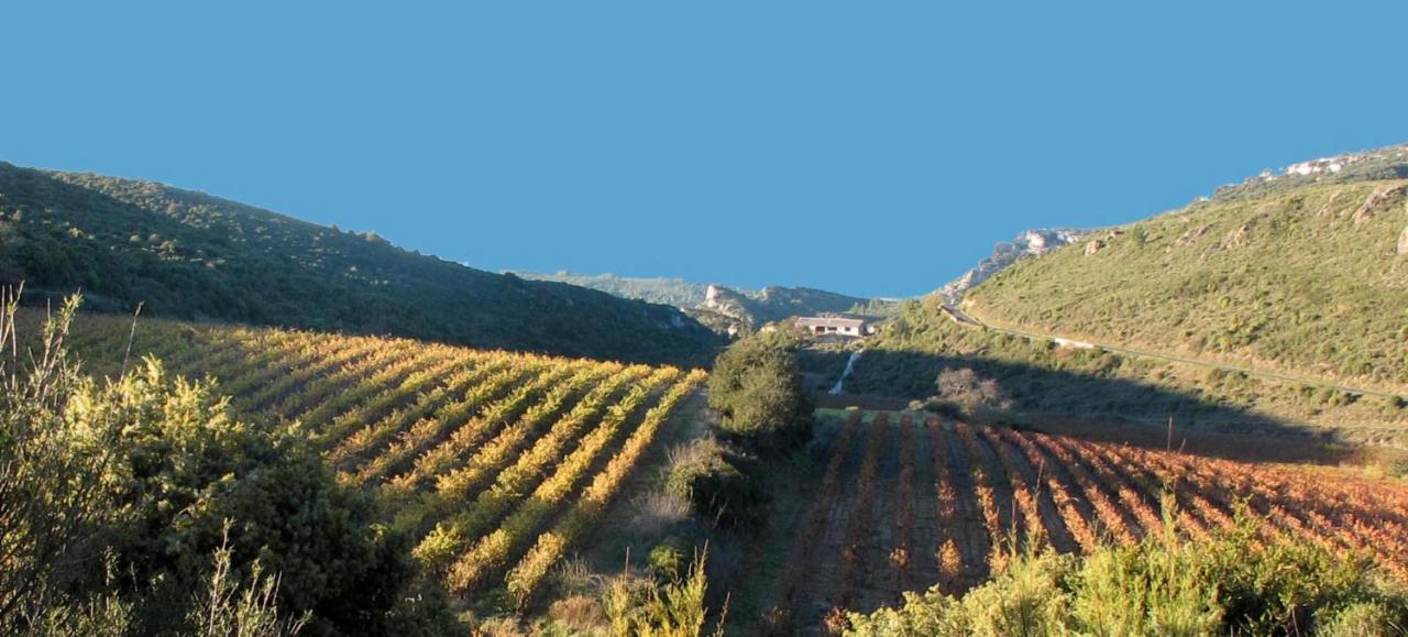 Gite Dans Ancienne Bergerie En Pleine Garrigue Fraissé-des-Corbières المظهر الخارجي الصورة
