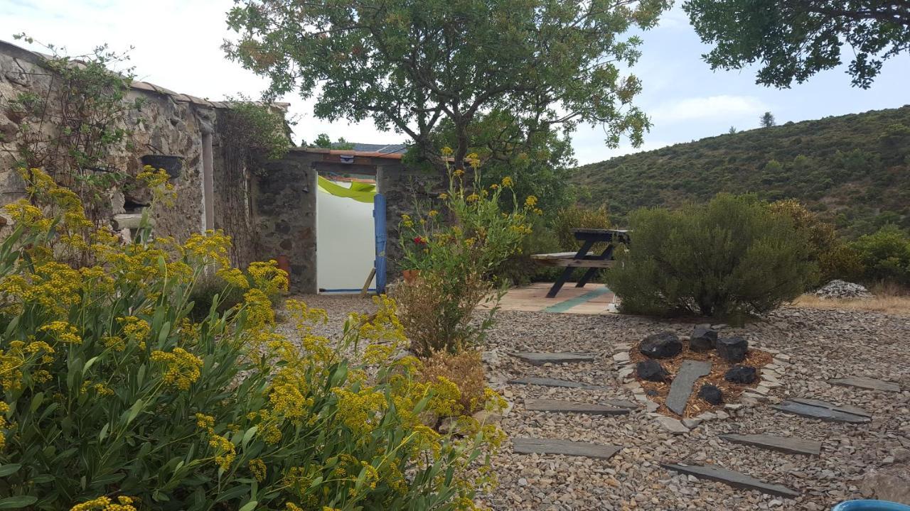 Gite Dans Ancienne Bergerie En Pleine Garrigue Fraissé-des-Corbières المظهر الخارجي الصورة