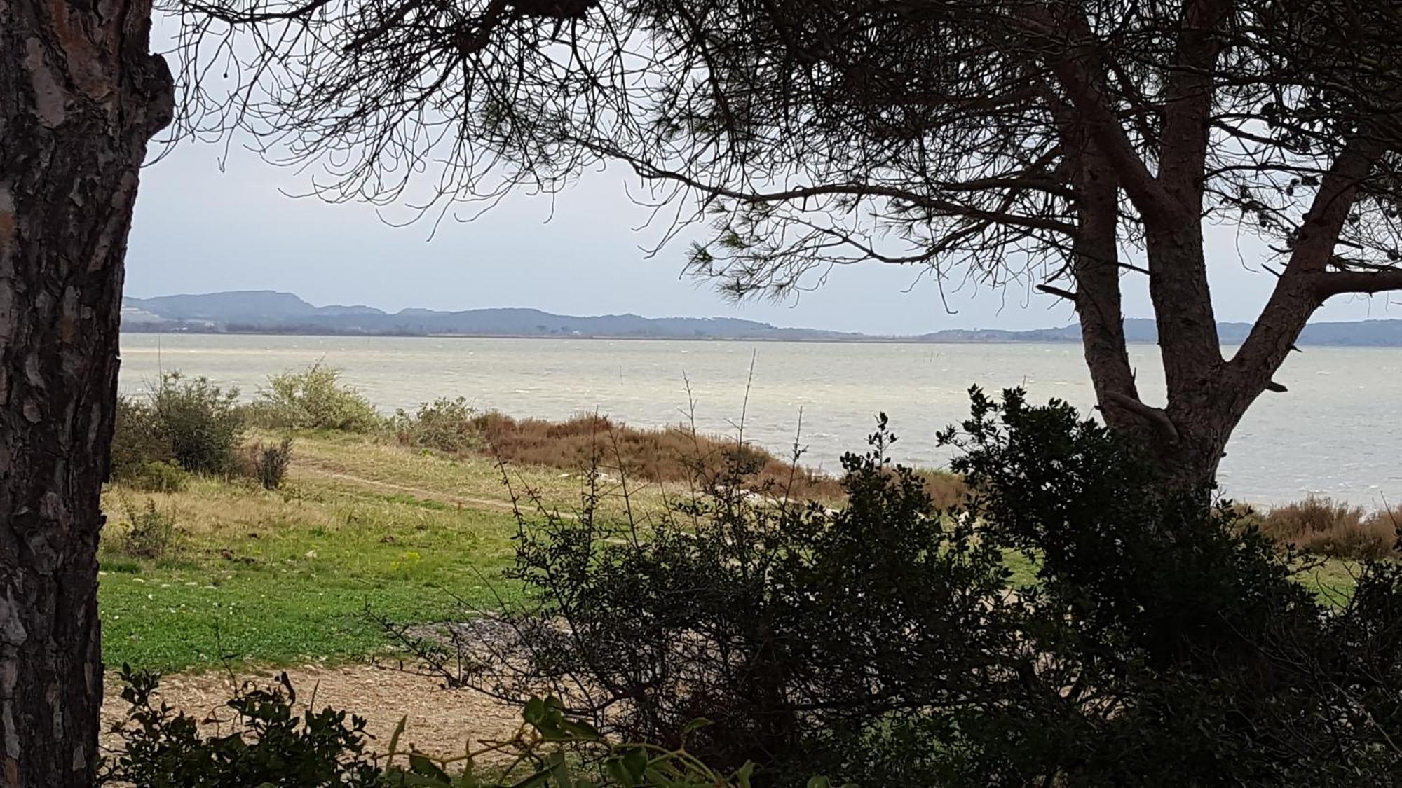 Gite Dans Ancienne Bergerie En Pleine Garrigue Fraissé-des-Corbières المظهر الخارجي الصورة