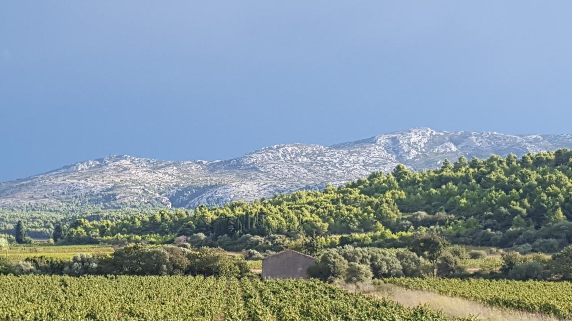 Gite Dans Ancienne Bergerie En Pleine Garrigue Fraissé-des-Corbières المظهر الخارجي الصورة